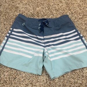 Chubbies Blue and White Striped Board Shorts